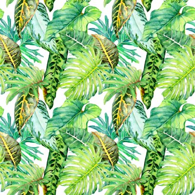 Sulu boya Dikişsiz desen tropikal yaprakları ile el çekilmiş 