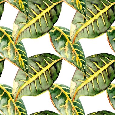 Sulu boya Dikişsiz desen tropikal yaprakları ile el çekilmiş 