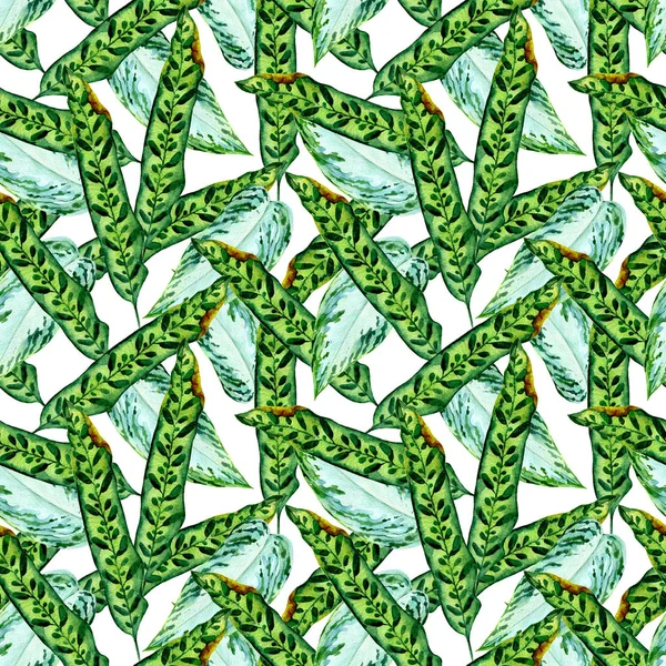 Acuarela dibujada a mano patrón sin costura con hojas tropicales — Foto de Stock