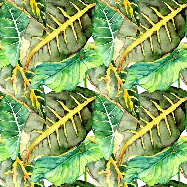 Ručně tažené akvarel vzor bezešvé s tropické listy — Stock fotografie