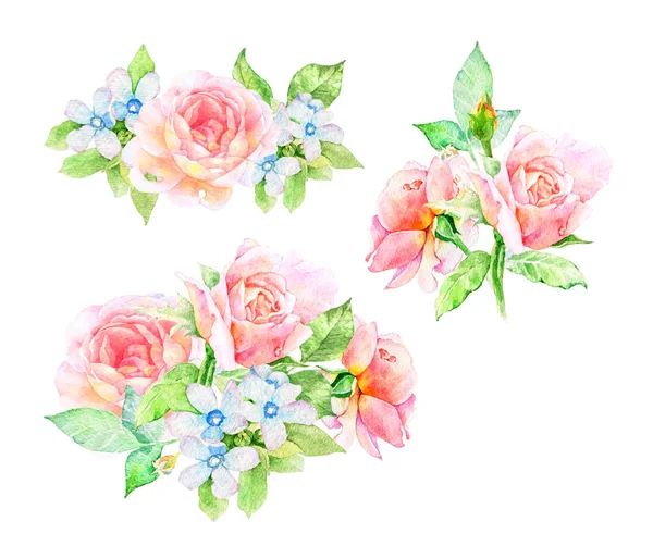 Ilustração de flores aquarela. Composição isolada. — Fotografia de Stock