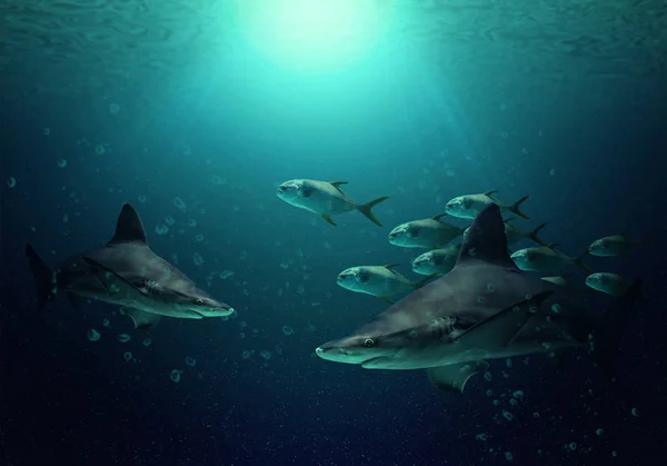 Tubarões e peixes grandes na água azul clara do oceano Índico — Fotografia de Stock