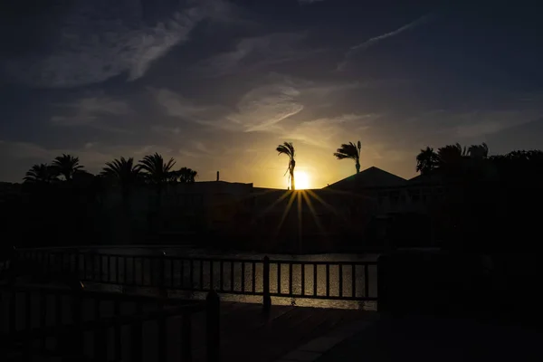 Silhouette Von Fahnen Und Palmen Tropischen Ferienort Bei Sonnenuntergang Fuerteventura — Stockfoto