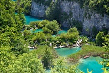 Güzel görünüm na turkuaz temiz su Plitvice Gölü. Bu suda balık ve kuşlar herhangi bir tür yaşar. İnsanlar dolaşmak ahşap yaya köprüsü üzerinde sudur.
