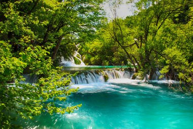 Plitvice Gölleri şelaleler güzel manzarasına. Su ve turkuaz açıktır. Hırvatistan'da yer alır.