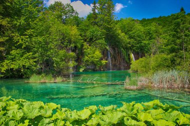 Plitvice Gölleri şelaleler güzel manzarasına. Su ve turkuaz açıktır. Hırvatistan'da yer alır.
