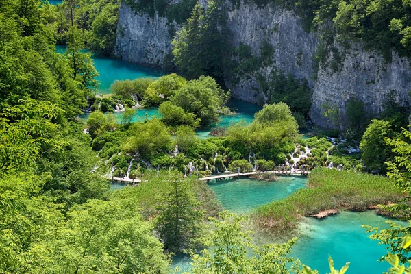 Beautiful View Turquoise Clear Water Plitvice Lake Water Live Any — Stock Photo, Image
