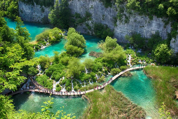 Beautiful View Turquoise Clear Water Plitvice Lake Water Live Any — Stock Photo, Image