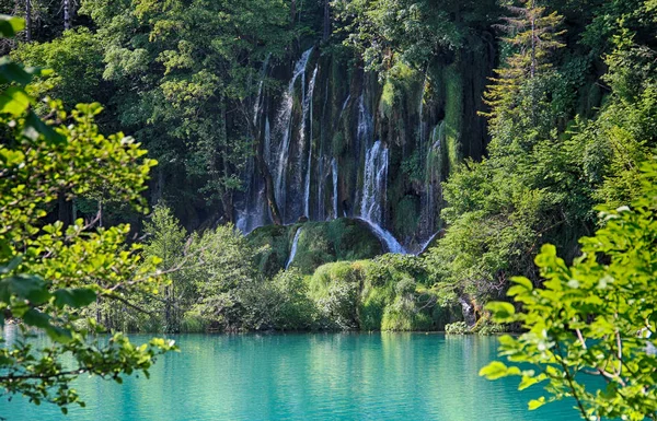 Прекрасный Вид Водопады Плитвицких Озерах Вода Чистая Бирюзовая Расположен Хорватии — стоковое фото
