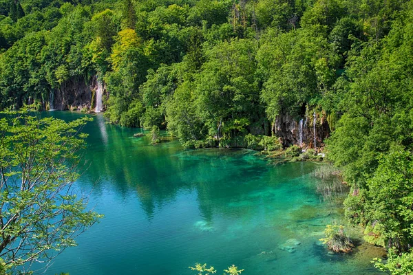 Beautiful View Turquoise Clear Water Plitvice Lake Water Live Any — Stock Photo, Image