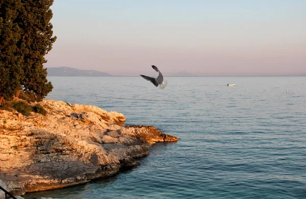 Ηλιοβασίλεμα Πάνω Από Θάλασσα Rabac Κροατία Όμορφη Φύση Στο Παρασκήνιο — Φωτογραφία Αρχείου