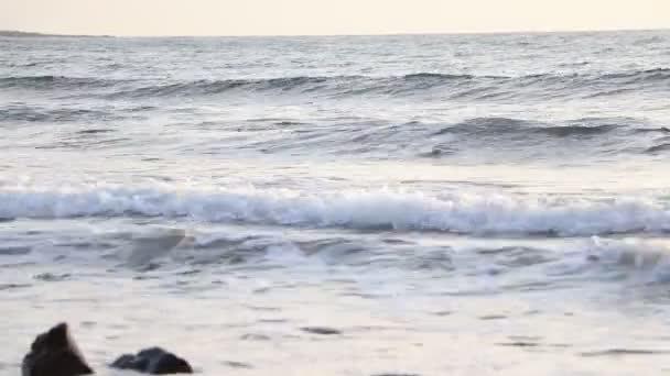 フェルテベントゥラ島の海岸の波は朝 スペインのカナリア諸島の美しい日の出は します — ストック動画