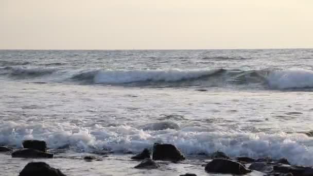 フェルテベントゥラ島の海岸の波は朝 スペインのカナリア諸島の美しい日の出は します — ストック動画