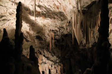 Mağaralarda Postojna, Slovenya - Postojnska jama taş oluşumu.