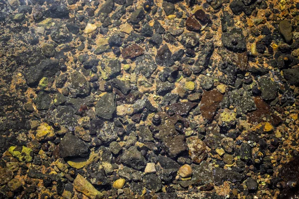 海贝和很多黑色的小火山石在海洋的水中作为背景 它是天然的岩石和海洋纹理 — 图库照片