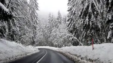 Araba ağır çekim görünümünden karlı ağaçların arasındaki yol üzerinde. Çek dağlarda kış HD video. Yol ve kar her yerde.