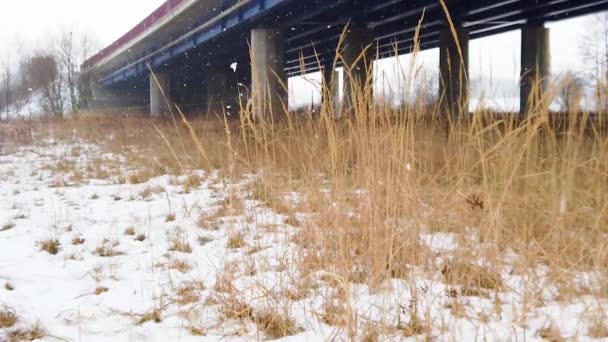 干草在下雪的地方缓慢运动 到处都是冷和雪 — 图库视频影像