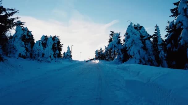 チェコの山の冬に雪の多い木 リフトは 背景にあります 西ボヘミア チェコ共和国のエルツ山地にあります — ストック動画
