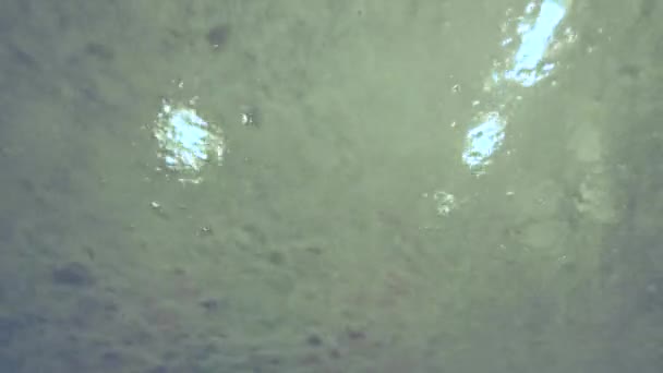 Video Von Wasser Das Durch Das Glas Läuft Ist Einem — Stockvideo