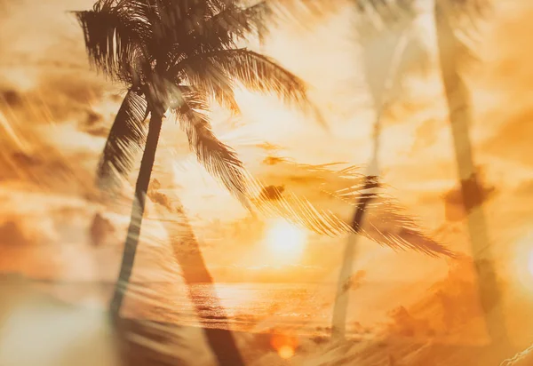 Retro style background on which there is sunset on the beach with palm trees. It\'s beautiful colourful. There are orange, red and yellow sun rays.