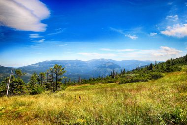 Yaz aylarında kayak pisti Giant Mountains, Çek Cumhuriyeti Medvedin. Beuatiful görünümü yoktur. En yüksek Dağı Milli Parkı olduğunu.
