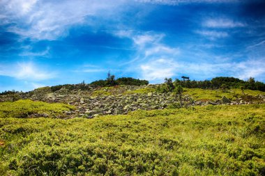 Kayak pisti Giant Mountains, Çek Cumhuriyeti içinde Medvedin suumer içinde beuatiful var. Muhteşem manzara.