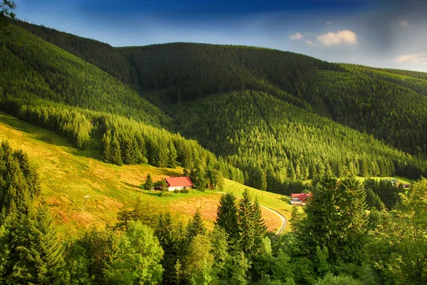 Dalen Tjeckiska Nationalparken Giant Berget Krkonose Staden Med Massa Trähus — Stockfoto