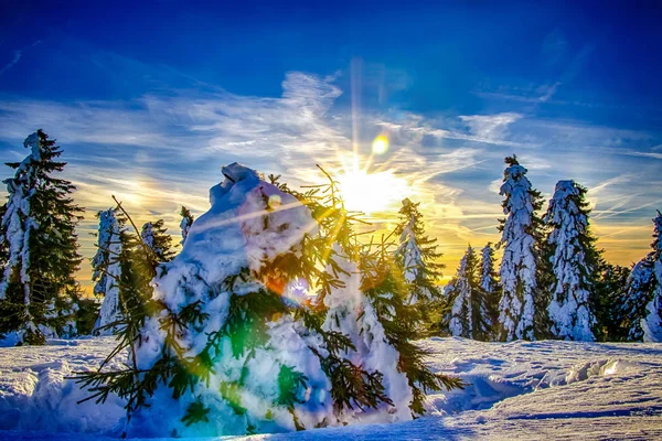 Piękny Wschód Słońca Górach Czeskich Słońce Świeci Przez Drzewa Pokryte — Zdjęcie stockowe