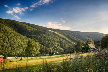 Çek Milli Parkı dev dağ-Krkonose vadide.