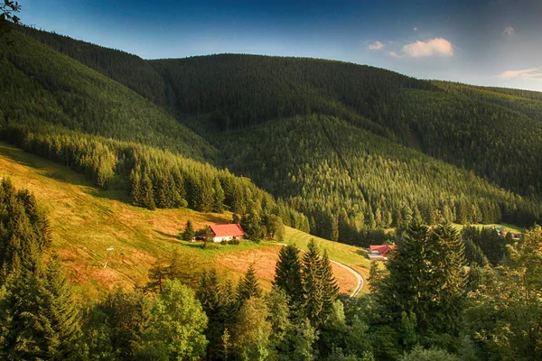 Çek Milli Parkı dev dağ-Krkonose vadide.