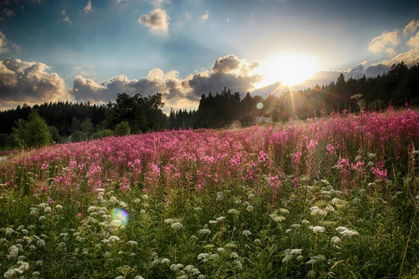 Çek Milli Parkı dev dağ-Krkonose vadide. — Stok fotoğraf