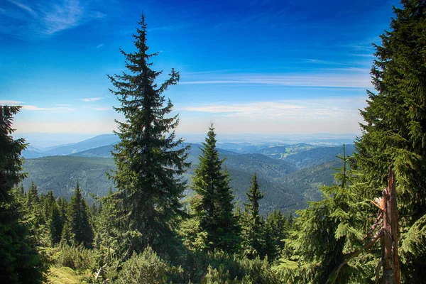 Изумительный взгляд на чешскую природу в Медведи в горах Гигантов в Чешской Республике . — стоковое фото
