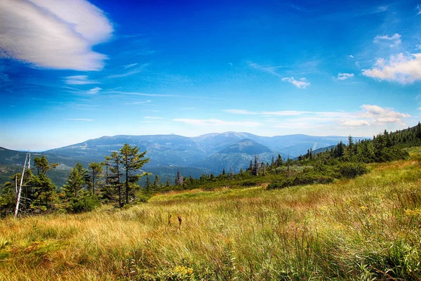 Medvedin Çek Cumhuriyeti Giant Mountains, Çek doğanın şaşırtıcı görünümü.