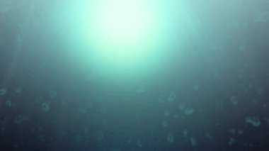 4 k animasyon okyanusun üzerinden su altında bulbbes kayan ile dalgalar.