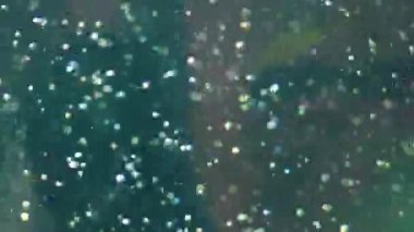 Yanıp sönen bokeh parlak Ile soyut bulanıklık HD video. Mavi ve yeşil suda bulanıklık kabarcıklarının soyut arka planı.