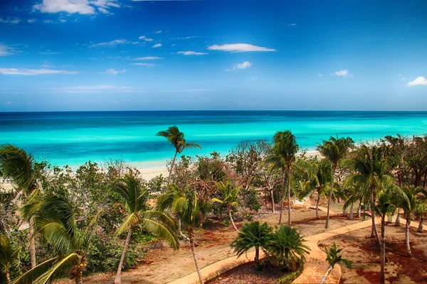 Playa de Varadero con mar y océano tirquis. Hay un montón de palmeras verdes. El cielo azul está al fondo. Es hermoso bachground natural . — Foto de Stock