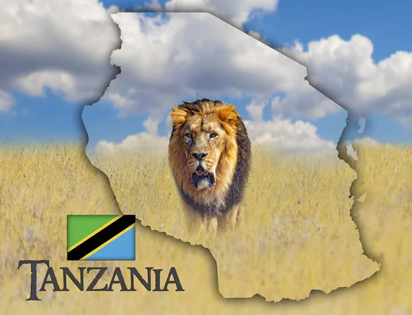 Térkép Tanzánia térképe, amely az oroszlán képe. Ott van a szövege Tanzánia és a zászló. Ez a nemzeti afrikai háttér arany fű és a kék ég. — Stock Fotó