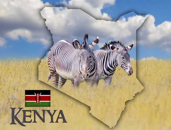 Zászló Térkép Kenya, amely a kép egy zebrák. Ott van a szöveg Kenya és a zászló. Ez a nemzeti afrikai háttér arany fű és a kék ég. — Stock Fotó