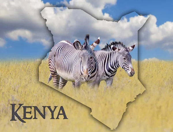 Zászló Térkép Kenya, amely a kép egy zebrák. -A egy pusztaság állat élő Afrikában. Ez a nemzeti afrikai háttér arany fű és a kék ég. — Stock Fotó
