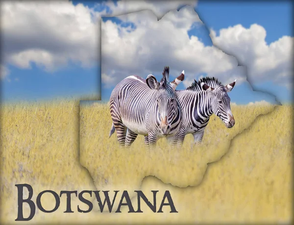 Zászló térképe Botswana, amelyen a kép egy zebrák. Ott van a szöveg Botswana. Ez a nemzeti afrikai háttér arany fű és a kék ég. — Stock Fotó