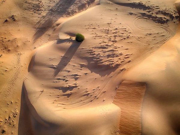 Afrika'daki çöl Lompoul'un en iyi manzarası, Senegal. Çöl tepeleri var. Kum güzel sarı. Bu havadan görünüm. Gün batımı var..