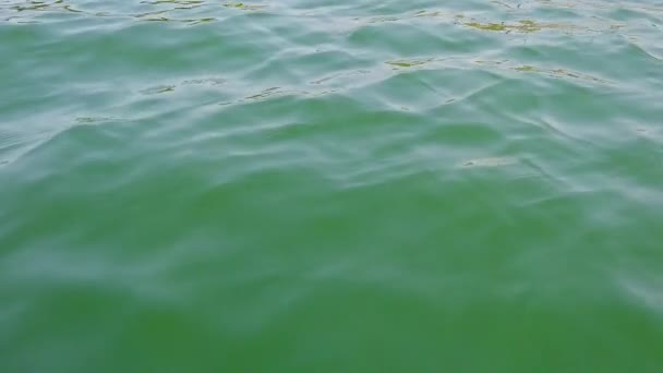 HD lassú mozgás a víz felszínén a tengeri lagúna. Ez a kilátás a fából készült csónak az afrikai folyón. Kék türkiz víz. Van kis waes. — Stock videók