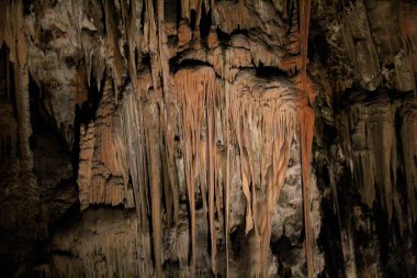 Mağaralarda Postojna, Slovenya - Postojnska jama taş oluşumu.