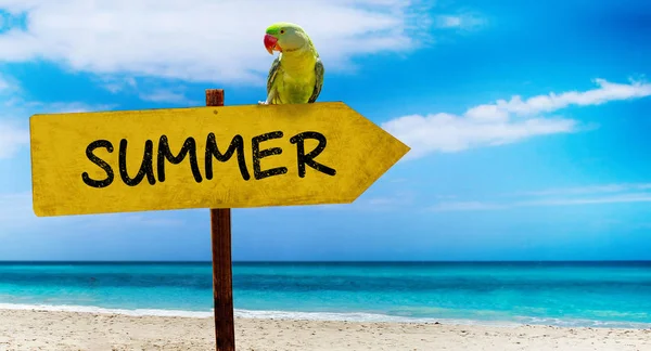 Holzschild am schönen Strand und klares Meer mit Text Sommer. Ein grüner Papagei sitzt auf einem Zeiger auf ein tropisches Paradies — Stockfoto