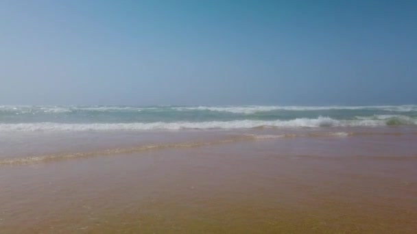 Vídeo 4K de uma longa praia e oceano Atlântico. Há ondas grandes e pequenas. É no Senegal, África. É o paraíso tropical . — Vídeo de Stock