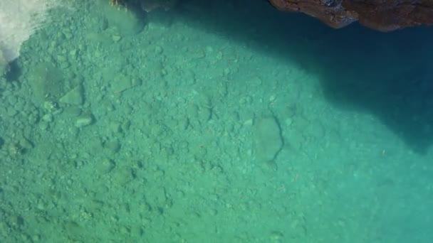 4K video de Peces en el agua clara de la laguna del mar. Es piscina en Seixal, isla de Madeira . — Vídeos de Stock