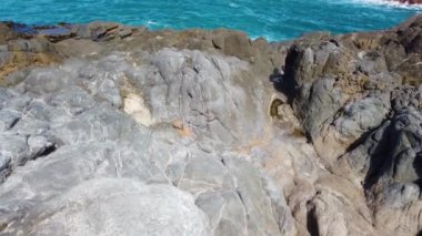 Portekiz 'in Madeira Adası' ndaki Seixal manzarasının 4k görüntüsü. Atlantik Okyanusu 'nun berrak suyu olan lav taşları ve kayalar var..