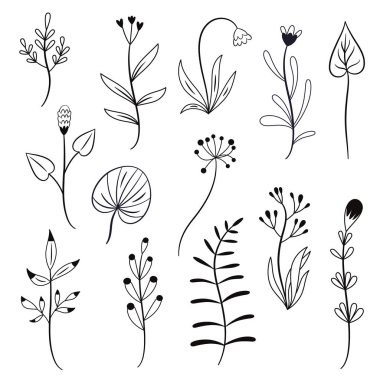 Yaprakları ve beyaz arka plan üzerinde çırpı elle çizilmiş kümesi