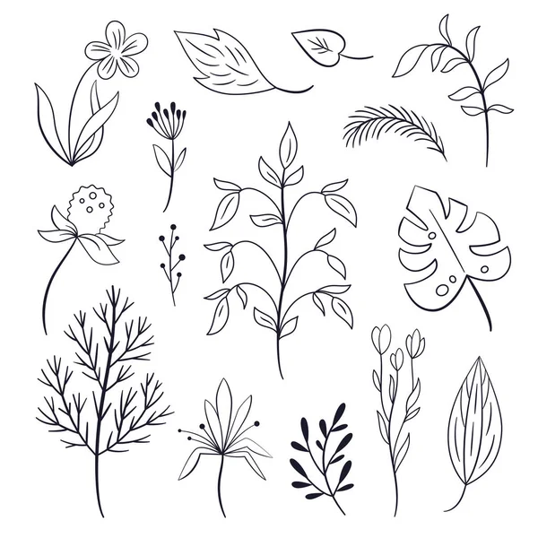 Handgezeichnete Blätter Und Zweige Auf Weißem Hintergrund — Stockvektor