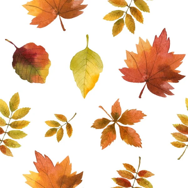 Hand Drawn Watercolor Seamless Autumn Leaves Pattern Autumnal Background — Stock Photo, Image
